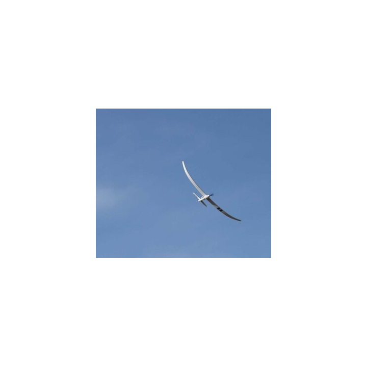E-FLITE Night Radian 2.0m PNP | Planeador RC con Luces LED Integradas