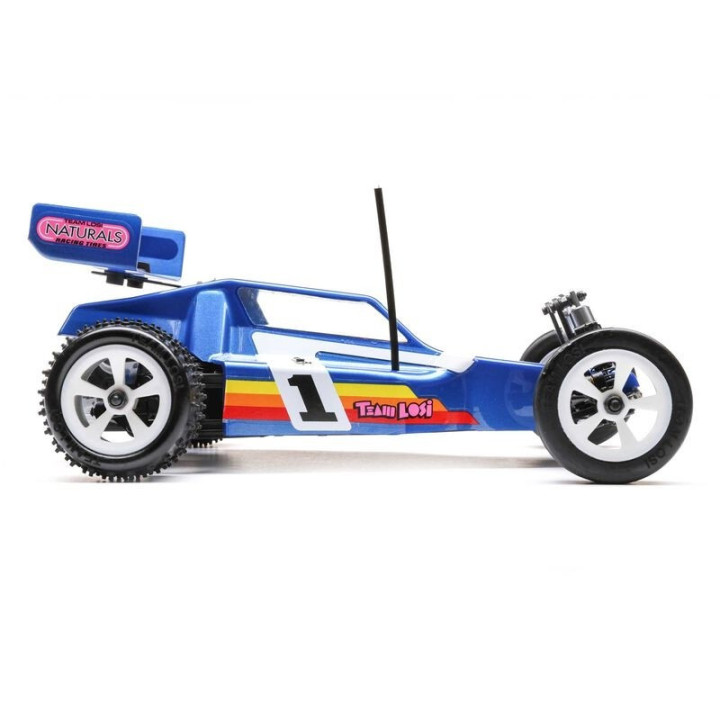 Losi Mini JRX2 1/16 2WD Buggy RTR con batería y cargador