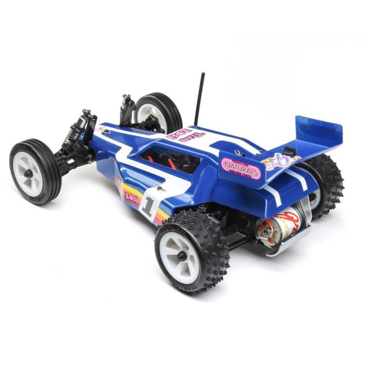 Losi Mini JRX2 1/16 2WD Buggy RTR con batería y cargador