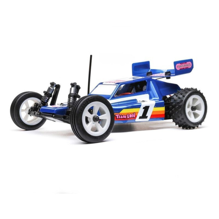 Losi Mini JRX2 1/16 2WD Buggy RTR con batería y cargador