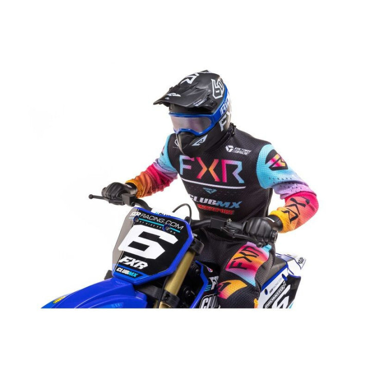 Losi Promoto-MX Club MX 1/4 RC Brushless Azul