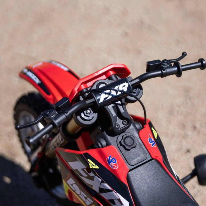 Losi Promoto-MX FXR 1/4 RC Brushless Rojo