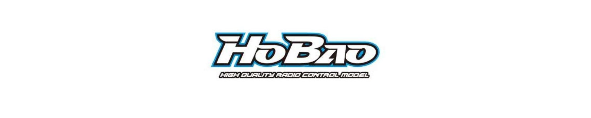 Hobao Racing – Compra Coches RC, Buggies y Accesorios de Alto Rendimiento