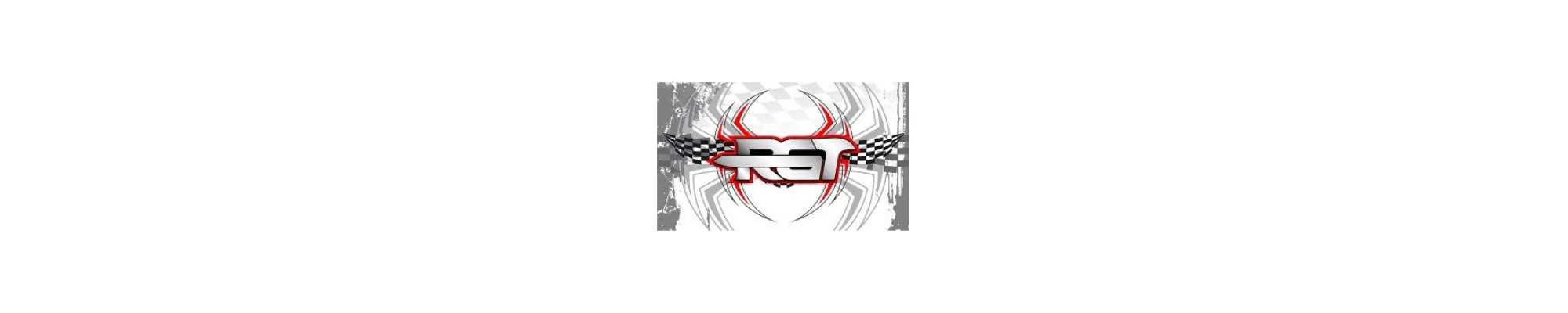 RGT Hobby RC: Crawler 4x4, Buggies y Accesorios de Radiocontrol