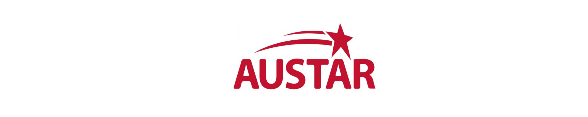 AUSTAR RC – Transmisores y receptores 2.4 GHz para coches, buggies y aviones